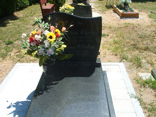 Grób Julian Cichy