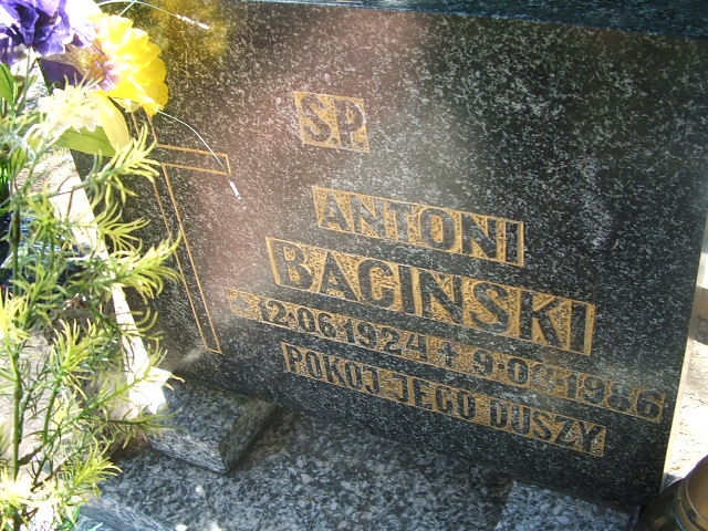 Jadwiga Bagińska 1929 Polkowice Gmina - Grobonet - Wyszukiwarka osób pochowanych