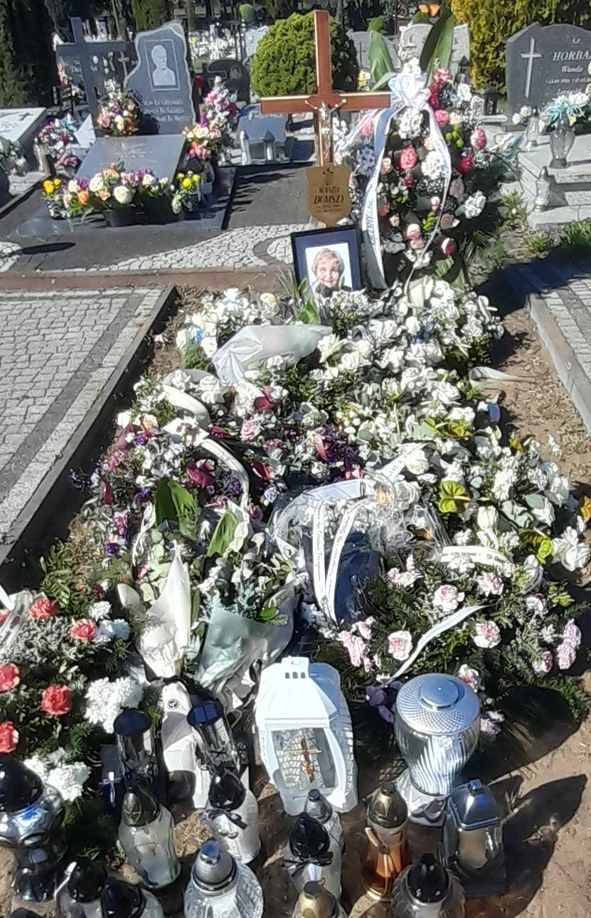 Grób Wanda Domszy