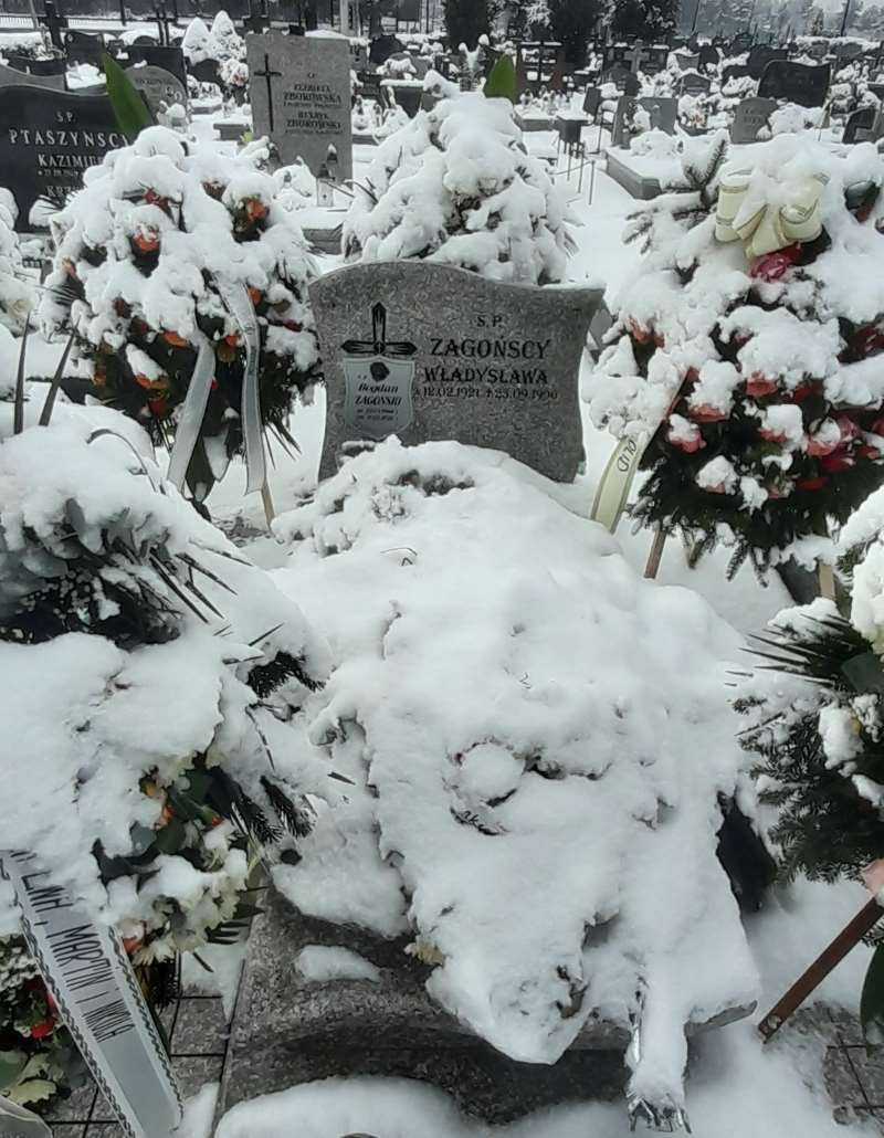 Grób Władysława Zagońska