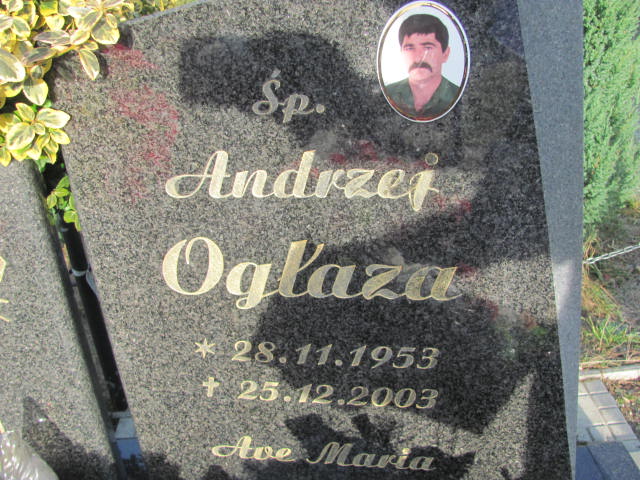 Andrzej Ogłaza 1953 Polkowice Gmina - Grobonet - Wyszukiwarka osób pochowanych