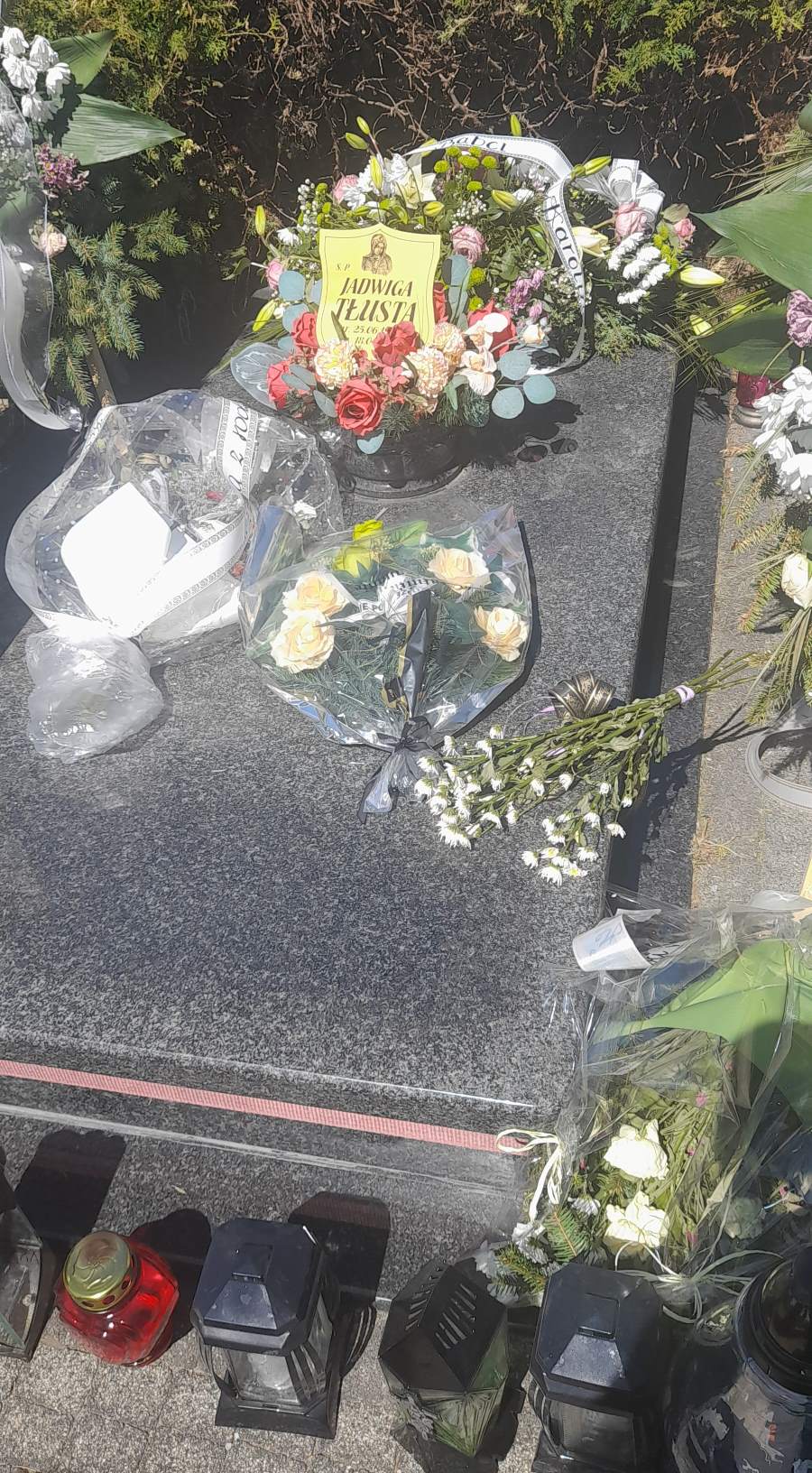 Grób Jadwiga Tłusta
