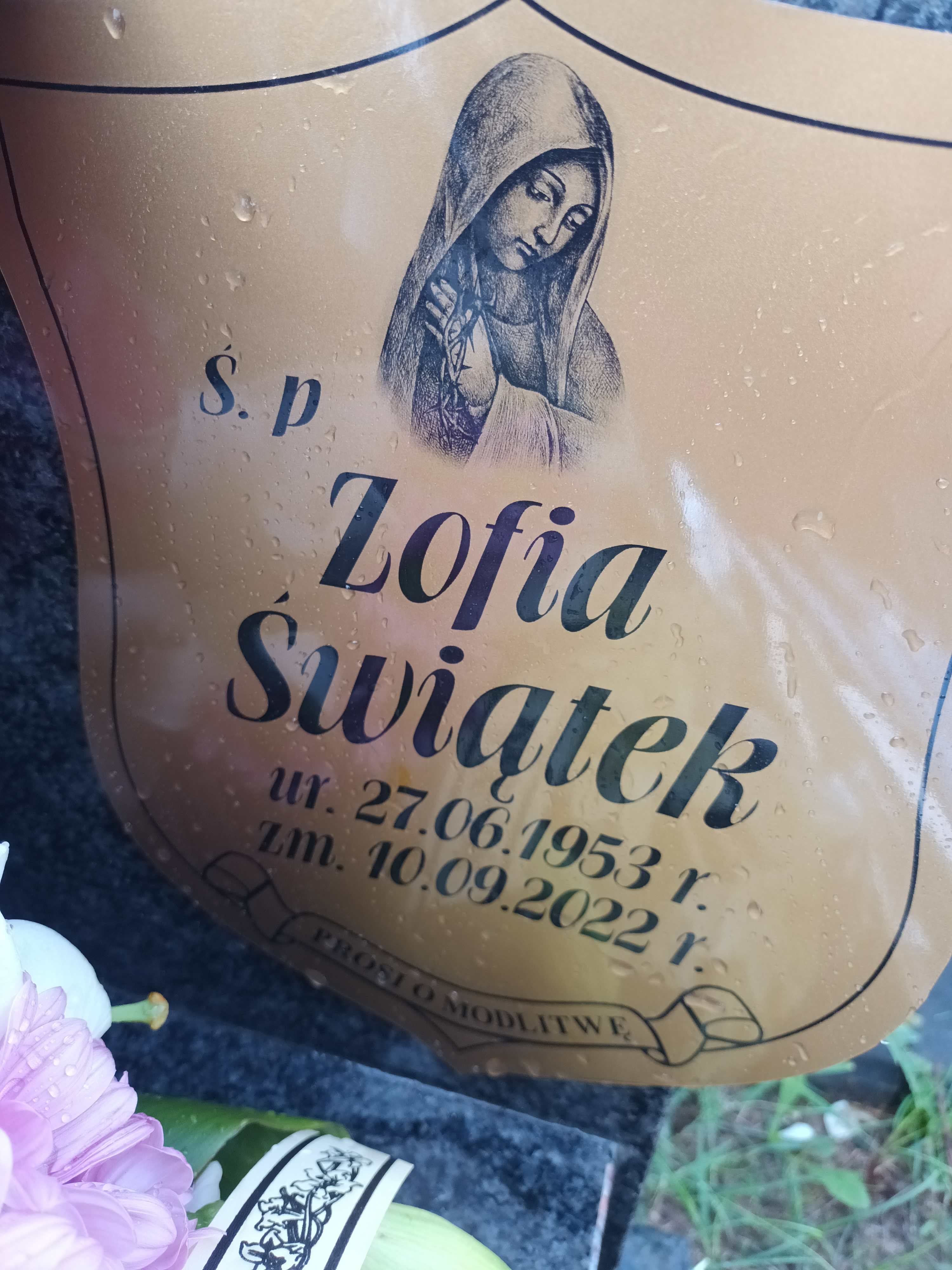 Zofia Świątek 1953 Polkowice Gmina - Grobonet - Wyszukiwarka osób pochowanych