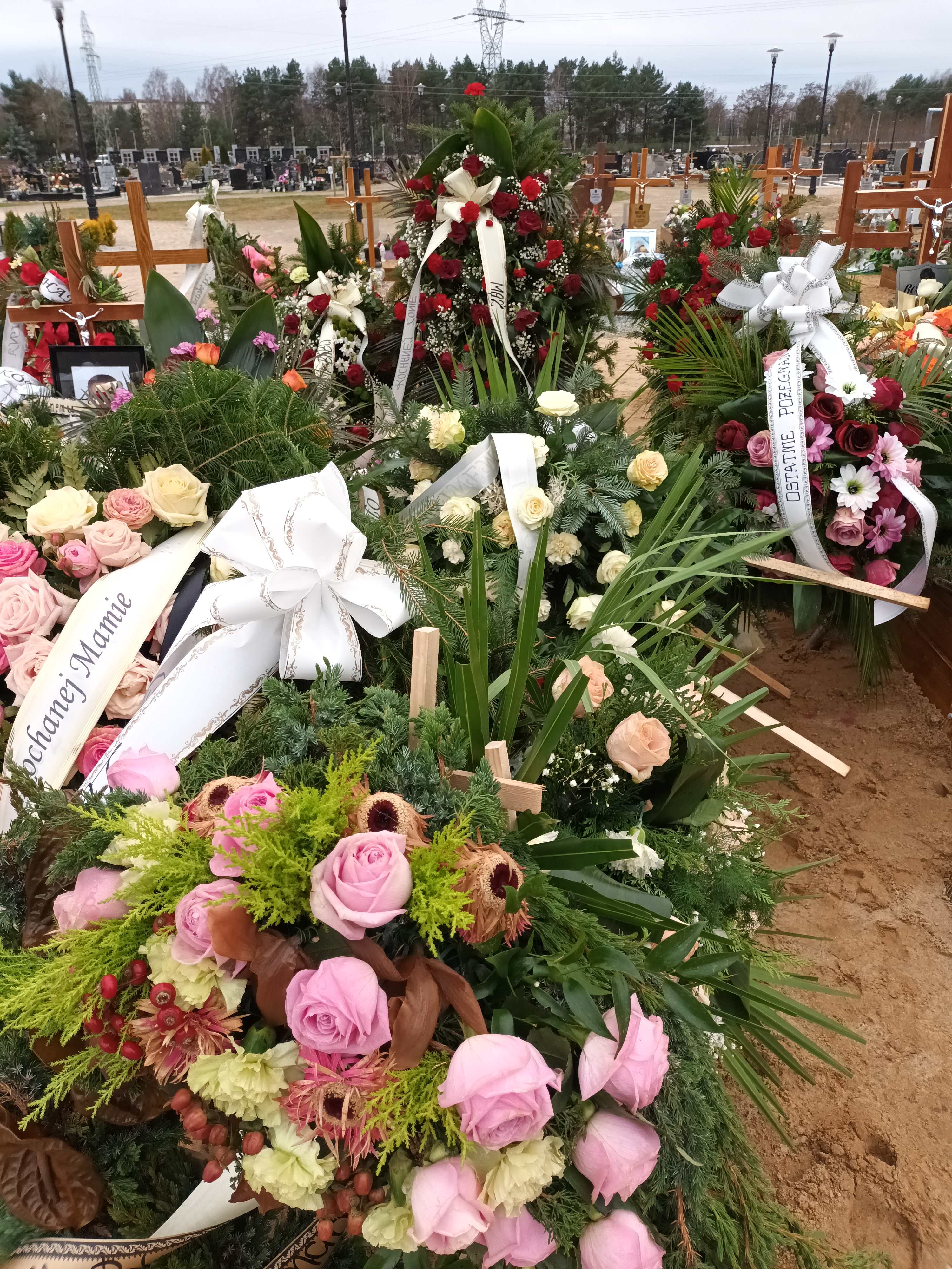 Violetta Szukała 1961 Polkowice Gmina - Grobonet - Wyszukiwarka osób pochowanych